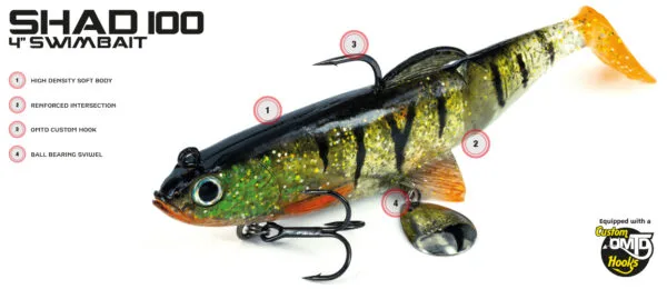 Molix Shad 100 - 24 g - Image 4