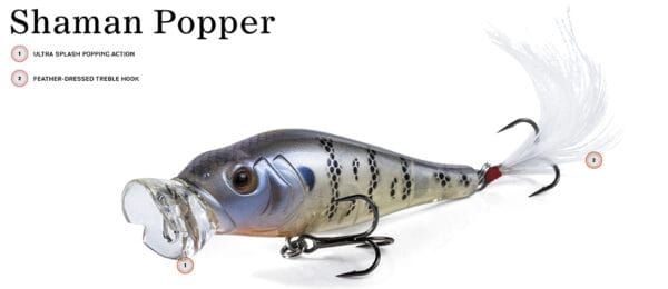 Molix Shaman Popper - Image 3